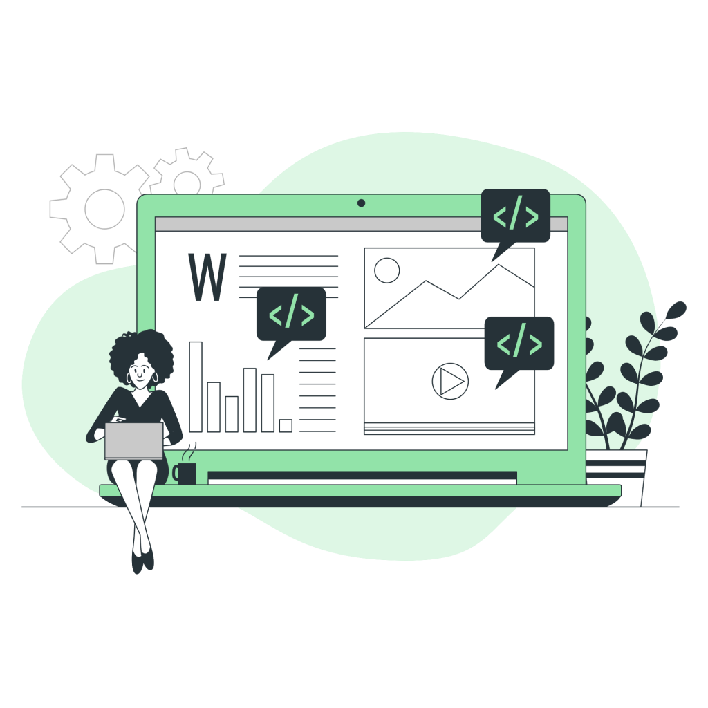 custom software